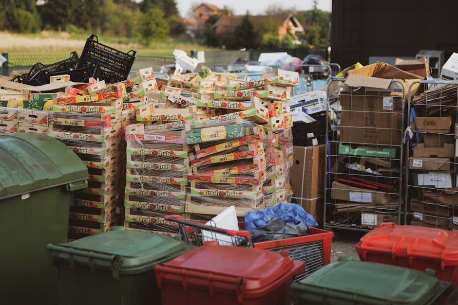 A large outdoor area filled with numerous stacked cardboard boxes of fresh fruit packaging, positioned on wooden pallets. To the left, there are several green and red plastic wheelie bins, with some of the lids closed and others slightly ajar. On the right side, there are metal wire shelving units and open cardboard boxes containing various packaging materials and smaller boxes. In the foreground, a partially visible red shopping trolley and a blue tarpaulin are present, with the scene illuminated by natural daylight. The background shows a rural setting with trees and distant houses, indicating an outdoor waste disposal or collection site, connected to house removals and packing processes. The arrangement suggests preparations for furniture transport or home relocation, consistent with the services offered by Man with Van Penge.