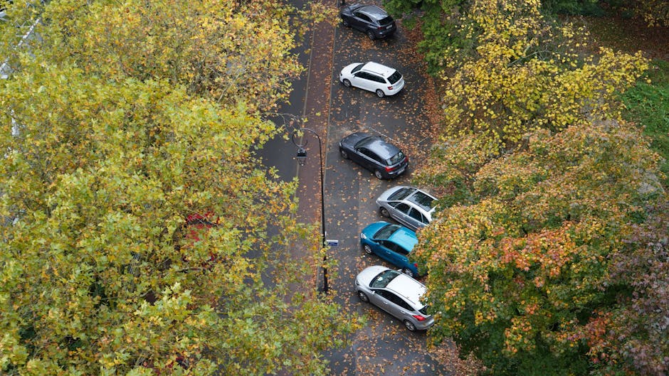 An aerial view of a small residential parking area during autumn, with multiple cars parked along a narrow asphalt driveway surrounded by trees with yellow and orange leaves. The cars include a white hatchback, a black sedan, a silver hatchback, a blue compact car, and another silver vehicle, all parked in designated spaces along the edge of the pavement. Fallen leaves cover parts of the ground and are scattered on the car roofs and windshields. A black street lamp is positioned in the middle of the parking area, and a narrow pathway runs alongside the parking spaces amidst the trees. The scene captures a typical home relocation environment, with vehicles being prepared for moving or delivery, potentially by a professional removals company like Man with Van Penge, supporting local house moving and furniture transport services. The surrounding lush greenery and autumn foliage emphasize the seasonal setting, and the image suggests a quiet, organized space suitable for a home or furniture relocation process.
