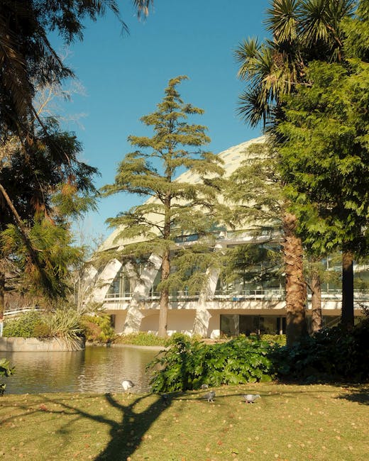 A modern building with large glass windows and a curved white roof structure is visible behind a small body of water, possibly a pond. Surrounding the building are tall, green coniferous and broadleaf trees, casting long shadows on the grass in the foreground. The image is taken outdoors during daytime, with clear blue sky overhead. The scene suggests a peaceful, landscaped setting near Crystal Palace Park, with dense foliage and well-maintained grounds. The environment appears suitable for outdoor activities or nearby residential and commercial property management, relevant to house removals and moving services offered by Man with Van Penge for efficient furniture transport and home relocation logistics.