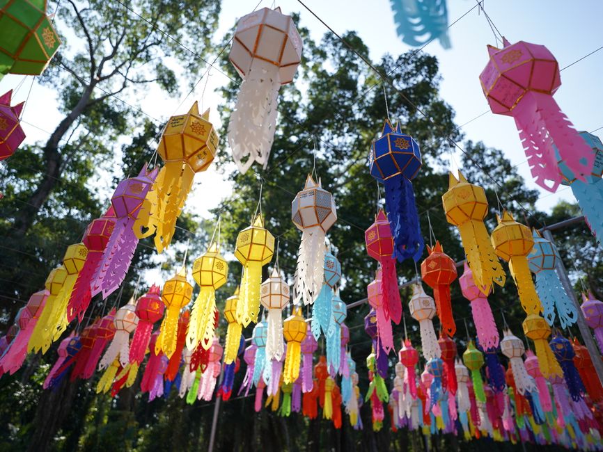 Colorful paper lanterns in various shapes and sizes, including hexagonal and cylindrical, are hanging outdoors on thin wires against a backdrop of tall trees and a clear blue sky. The lanterns are made of lightweight paper and tie-dye fabric in bright colors such as yellow, pink, blue, orange, purple, and white, some with intricate patterns or decorative elements. They are suspended at different heights, creating a festive display likely for a cultural or community event. The sunlight filters through the trees, highlighting the vivid hues and delicate textures of the lanterns, which appear to be part of an outdoor installation. This scene relates to home relocation or moving logistics in the context of decorating or preparing for a celebration, and is associated with services like those provided by Man with Van Penge for house removals.